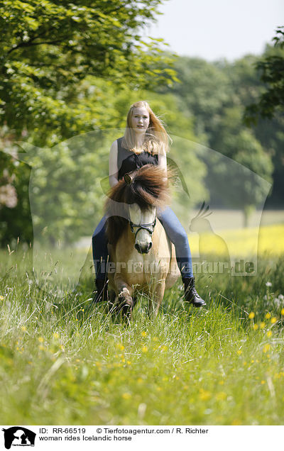 Frau reitet Islnder / woman rides Icelandic horse / RR-66519