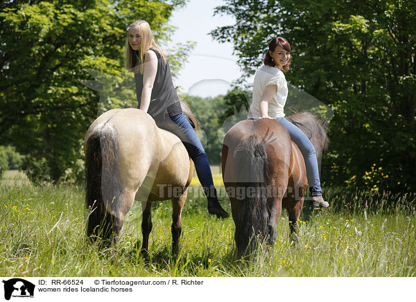 Frauen reiten Islnder / women rides Icelandic horses / RR-66524