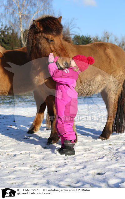 Mdchen und Islnder / girl and Icelandic horse / PM-05927