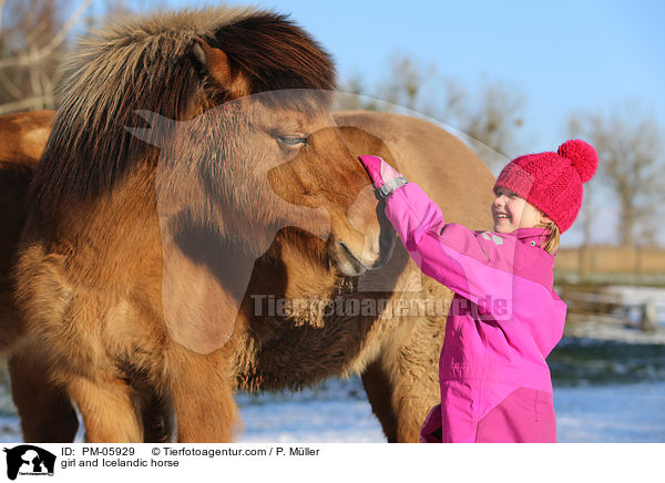 Mdchen und Islnder / girl and Icelandic horse / PM-05929