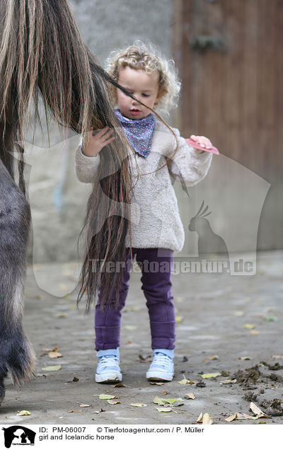 girl and Icelandic horse / PM-06007