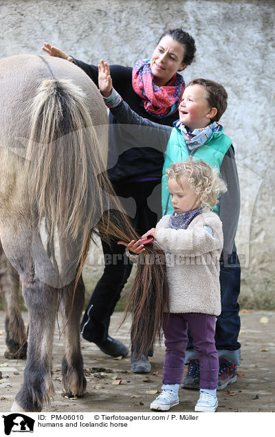 humans and Icelandic horse / PM-06010