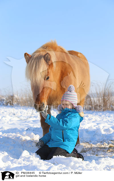Mdchen und Islnder / girl and Icelandic horse / PM-06445