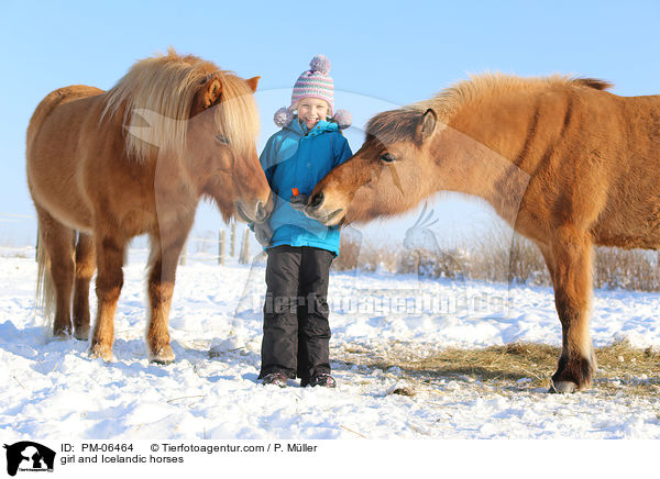 Mdchen und Islnder / girl and Icelandic horses / PM-06464