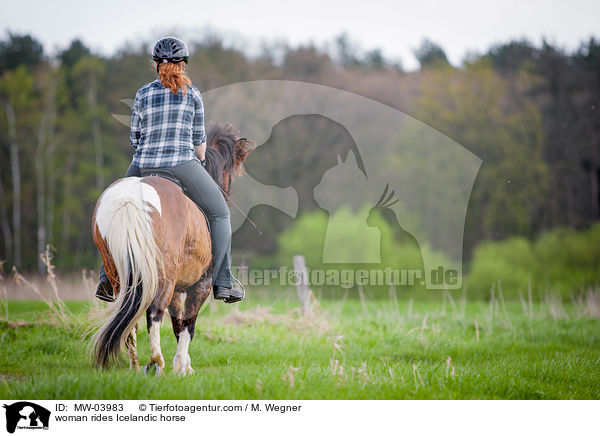 Frau reitet Islnder / woman rides Icelandic horse / MW-03983