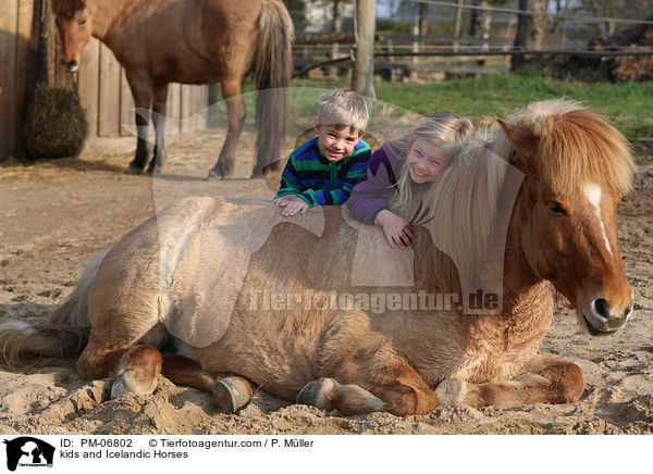 Kinder und Islnder / kids and Icelandic Horses / PM-06802