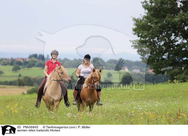Frauen reiten Islnder / women rides Icelandic Horses / PM-06845