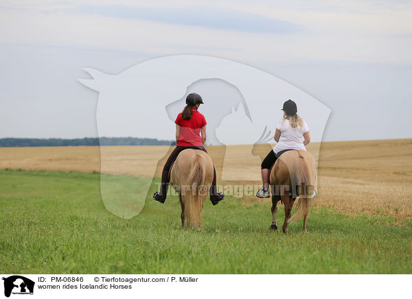 Frauen reiten Islnder / women rides Icelandic Horses / PM-06846