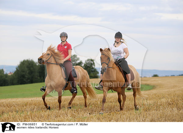 Frauen reiten Islnder / women rides Icelandic Horses / PM-06851