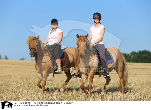 Frauen reiten Islnder / women rides Icelandic Horses / PM-06875