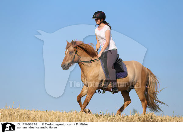 Frau reitet Islnder / woman rides Icelandic Horse / PM-06878