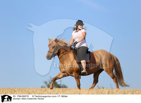 Frau reitet Islnder / woman rides Icelandic Horse / PM-06879
