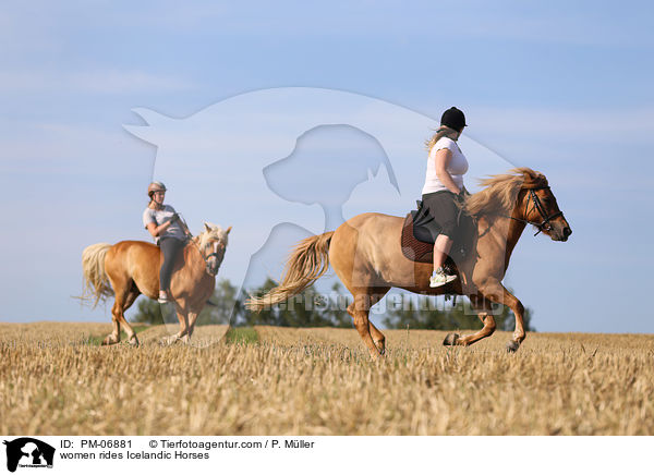 Frauen reiten Islnder / women rides Icelandic Horses / PM-06881