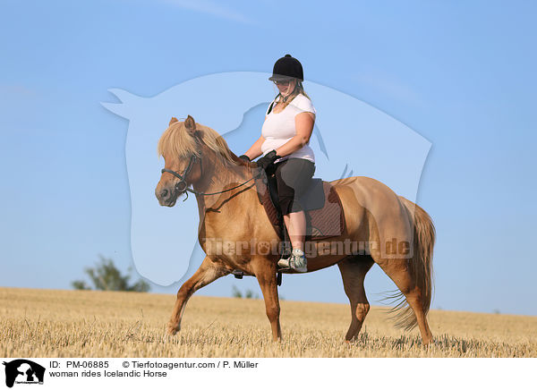 Frau reitet Islnder / woman rides Icelandic Horse / PM-06885