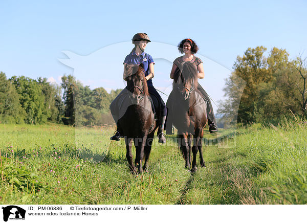 Frauen reiten Islnder / women rides Icelandic Horses / PM-06886