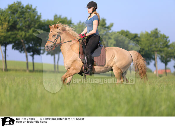 Reiterin auf Islnder / rider on Icelandic horse / PM-07568