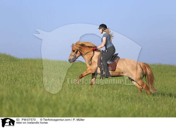Reiterin auf Islnder / rider on Icelandic horse / PM-07570