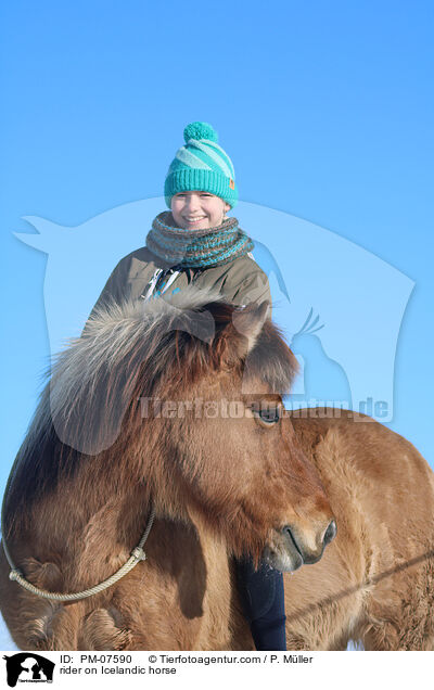 Reiterin auf Islnder / rider on Icelandic horse / PM-07590