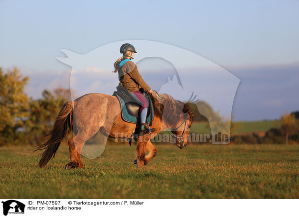 Reiterin auf Islnder / rider on Icelandic horse / PM-07597