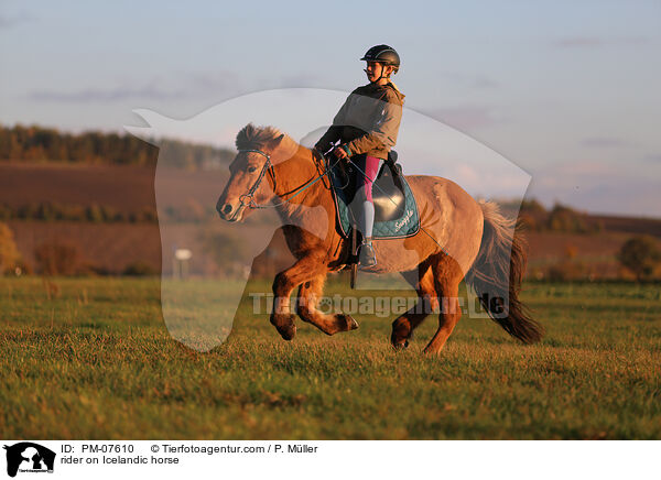 Reiterin auf Islnder / rider on Icelandic horse / PM-07610
