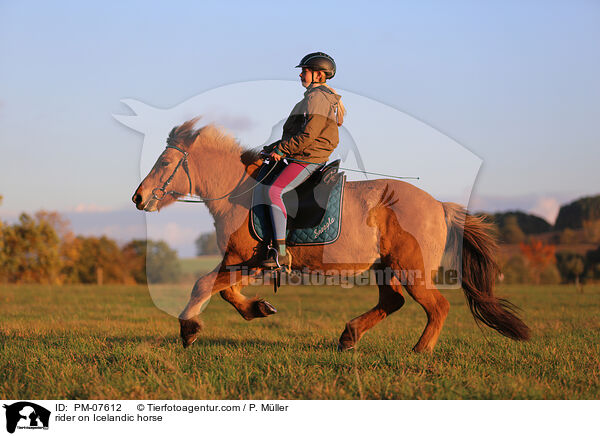 Reiterin auf Islnder / rider on Icelandic horse / PM-07612