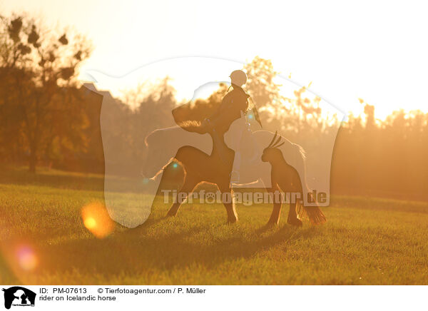 Reiterin auf Islnder / rider on Icelandic horse / PM-07613
