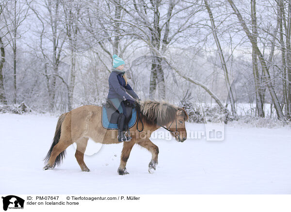 Reiterin auf Islnder / rider on Icelandic horse / PM-07647