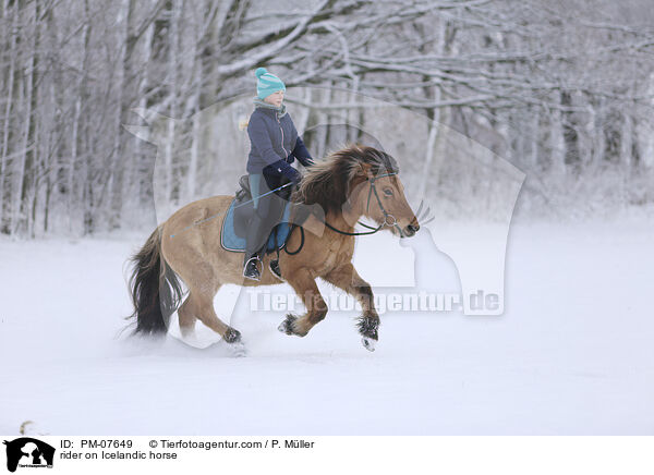 Reiterin auf Islnder / rider on Icelandic horse / PM-07649