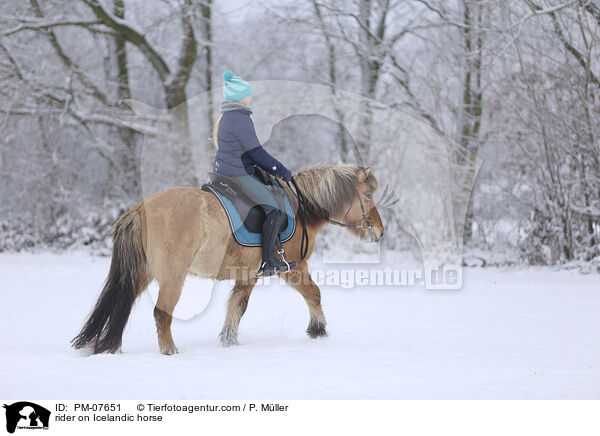 Reiterin auf Islnder / rider on Icelandic horse / PM-07651