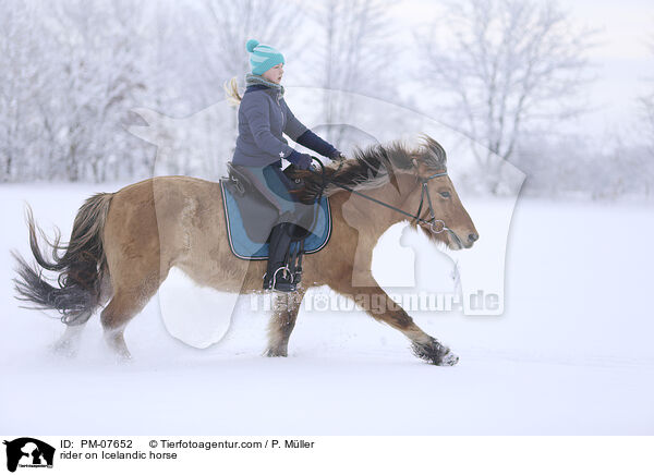 Reiterin auf Islnder / rider on Icelandic horse / PM-07652