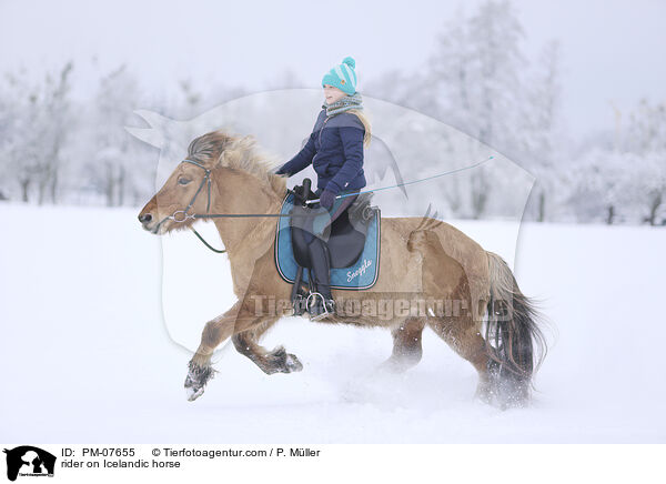 Reiterin auf Islnder / rider on Icelandic horse / PM-07655