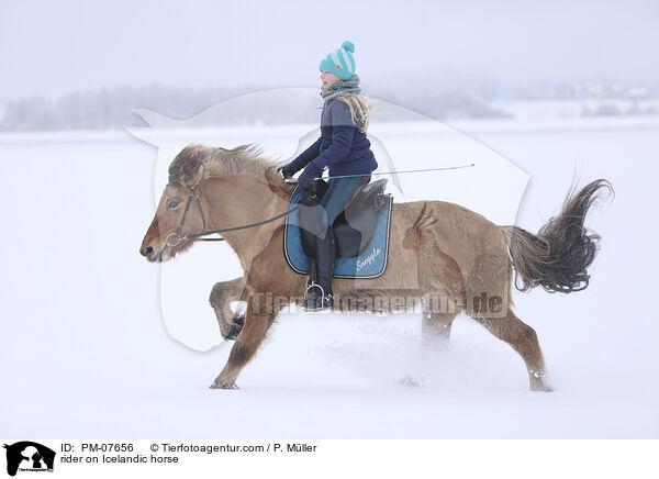 Reiterin auf Islnder / rider on Icelandic horse / PM-07656