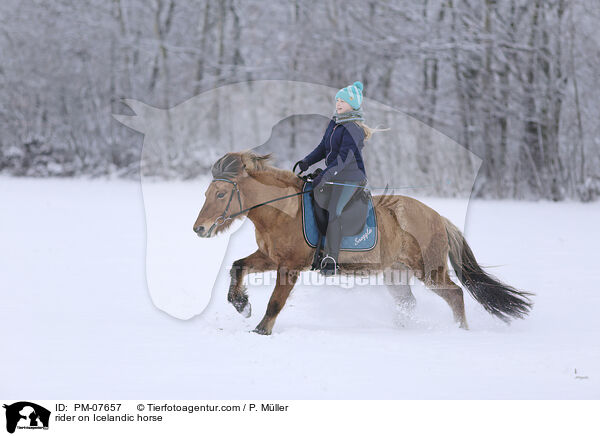Reiterin auf Islnder / rider on Icelandic horse / PM-07657