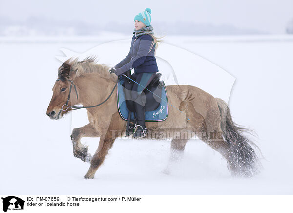 Reiterin auf Islnder / rider on Icelandic horse / PM-07659