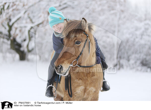 Reiterin auf Islnder / rider on Icelandic horse / PM-07661