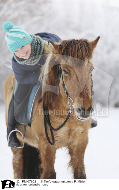 Reiterin auf Islnder / rider on Icelandic horse / PM-07662