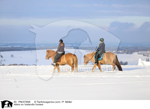 Reiterinnen auf Islndern / riders on Icelandic horses / PM-07666
