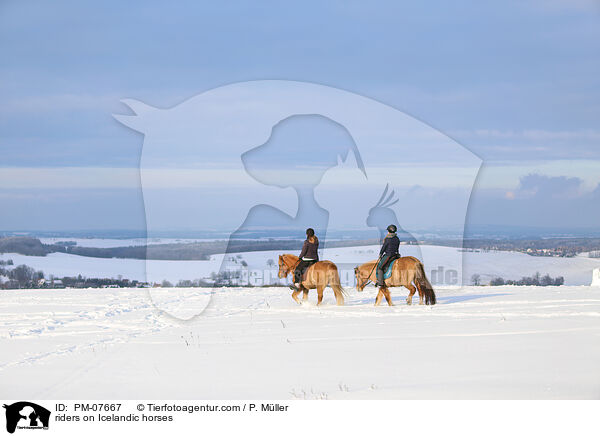 Reiterinnen auf Islndern / riders on Icelandic horses / PM-07667