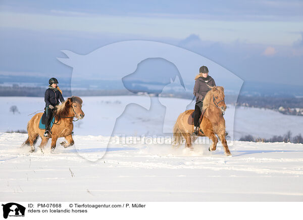 Reiterinnen auf Islndern / riders on Icelandic horses / PM-07668