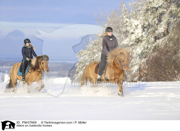 Reiterinnen auf Islndern / riders on Icelandic horses / PM-07669