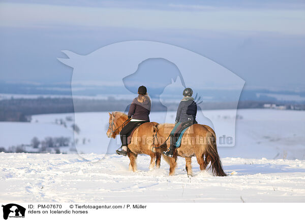 Reiterinnen auf Islndern / riders on Icelandic horses / PM-07670