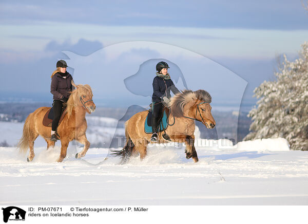 Reiterinnen auf Islndern / riders on Icelandic horses / PM-07671