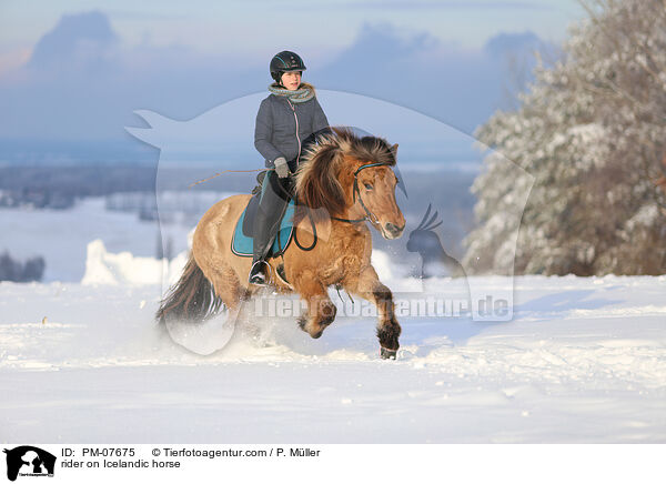 Reiterin auf Islnder / rider on Icelandic horse / PM-07675