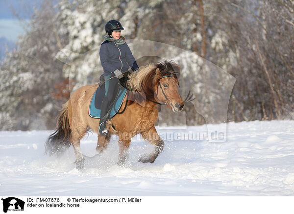Reiterin auf Islnder / rider on Icelandic horse / PM-07676