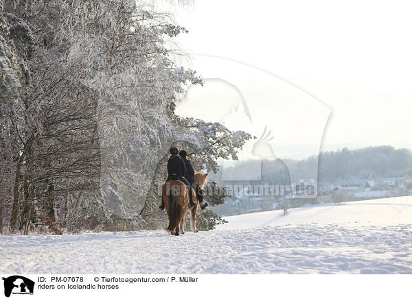 Reiterinnen auf Islndern / riders on Icelandic horses / PM-07678