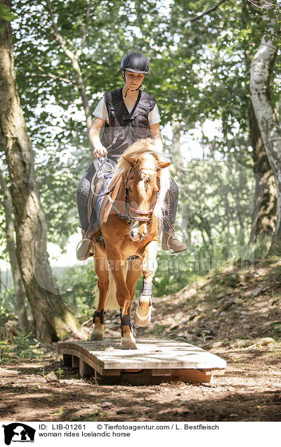 Frau reitet Islnder / woman rides Icelandic horse / LIB-01261