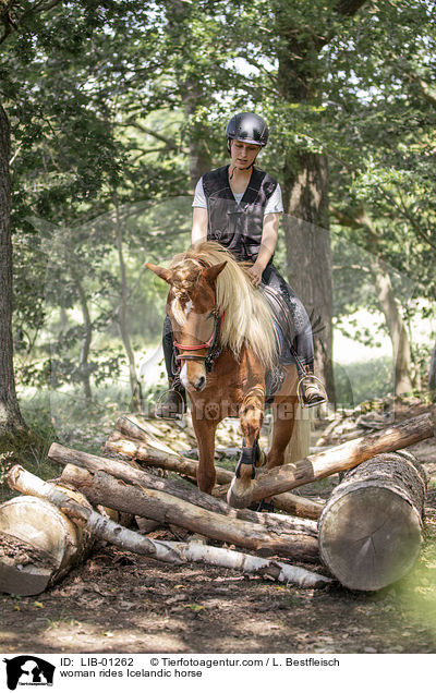 Frau reitet Islnder / woman rides Icelandic horse / LIB-01262