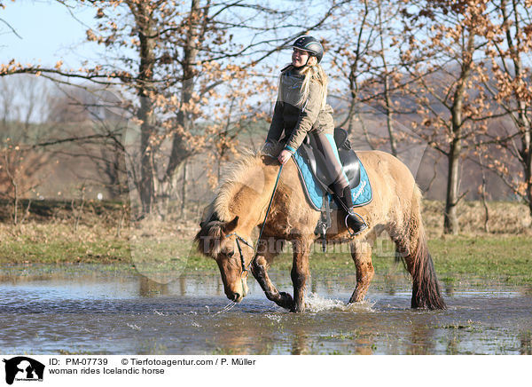 Frau reitet Islnder / woman rides Icelandic horse / PM-07739