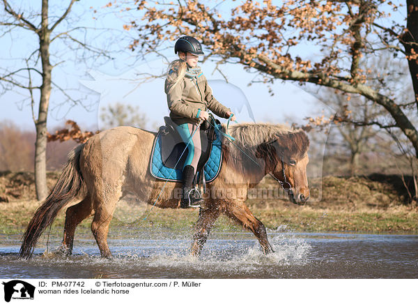 Frau reitet Islnder / woman rides Icelandic horse / PM-07742