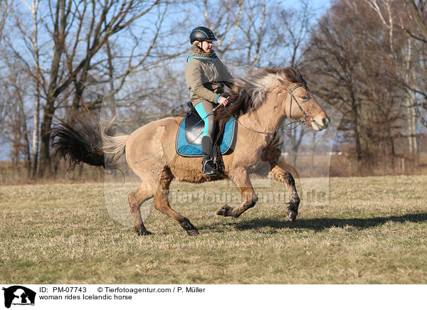 Frau reitet Islnder / woman rides Icelandic horse / PM-07743